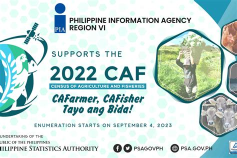 caf-is.beesuite.ph account login|2022 CAF .